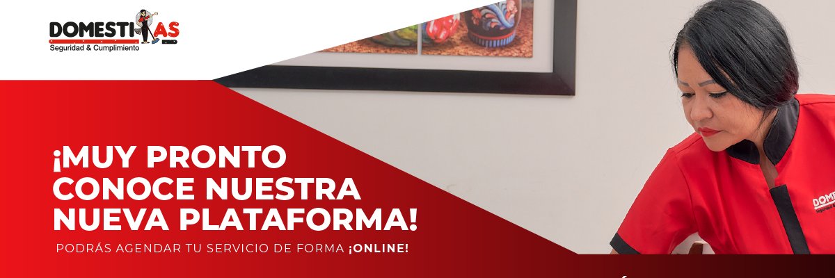 Domestikas banner
