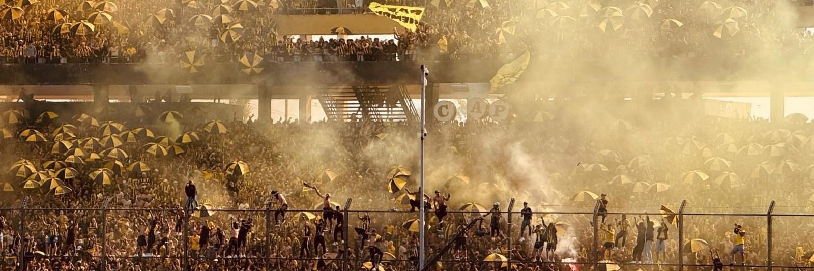 Maxi Modernell Cataldi banner