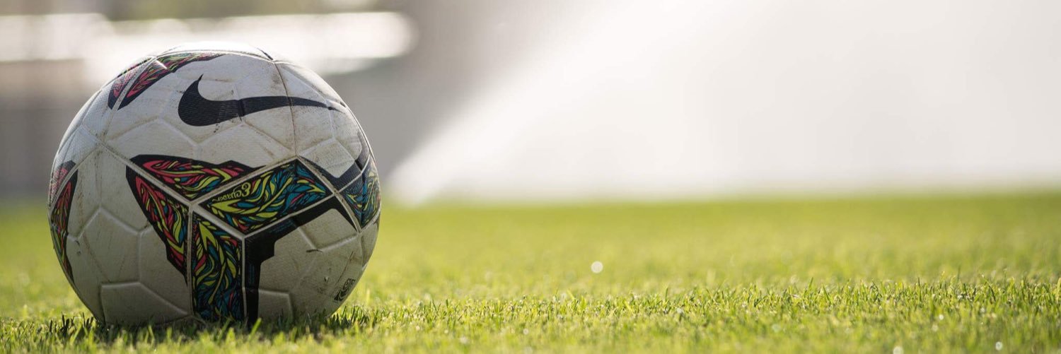 ovidangelo's profile banner image