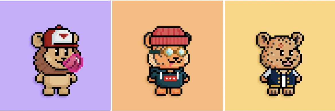 Anders Piiparinen banner