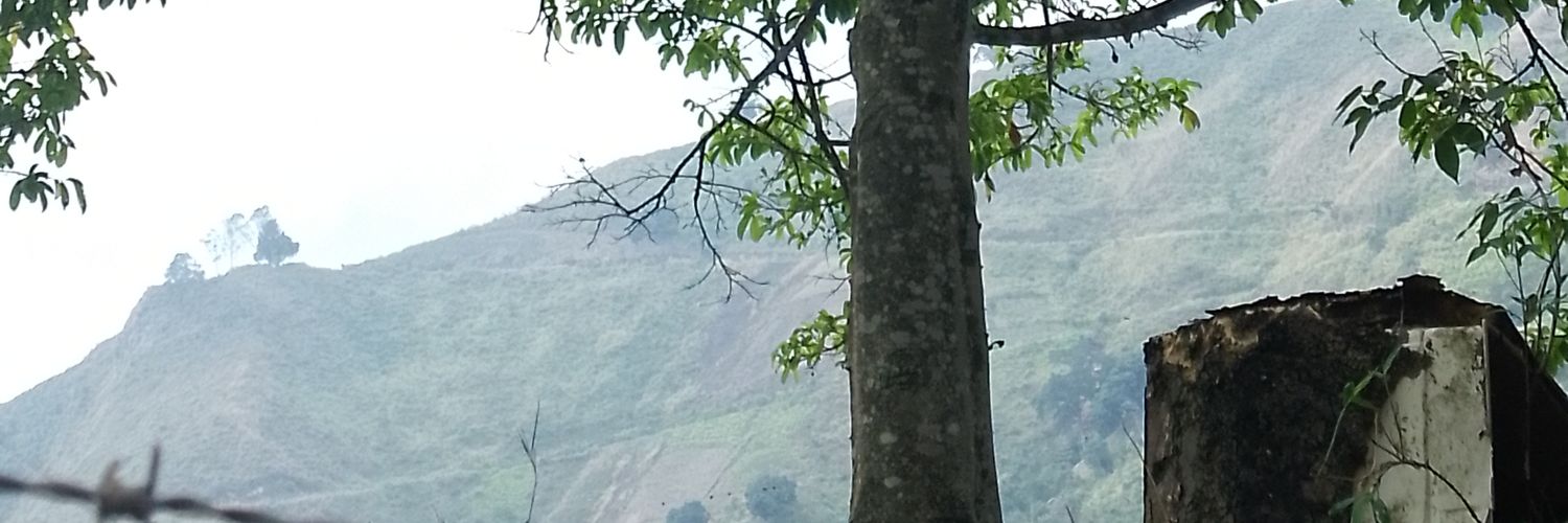 MilagrosRod's profile banner image