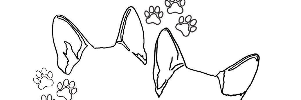 TraceeLuu10's profile banner image