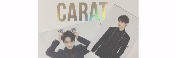카린 banner