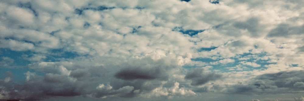 siyahwhitee's profile banner image