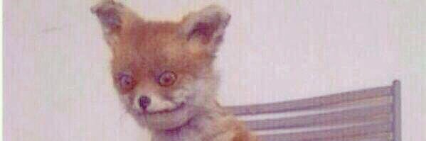 prettypersian__ banner