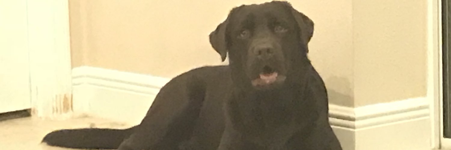 amostjamos's profile banner image