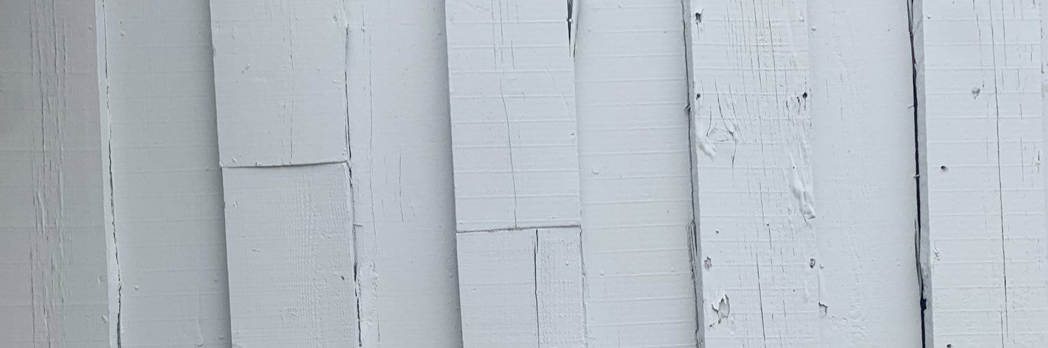 Avery_Stingray's profile banner image