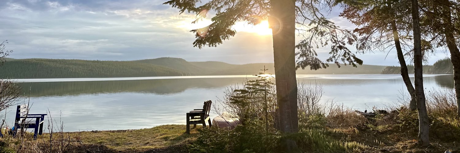 Starseed 🇨🇦 banner