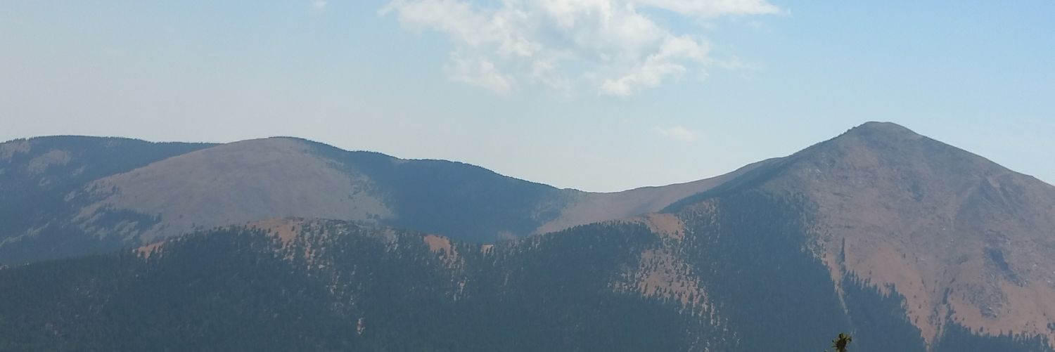 BrandyJ8's profile banner image