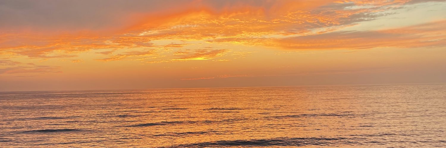 nessssaaboo's profile banner image