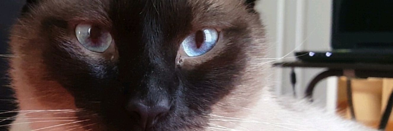 _haleyleannn's profile banner image