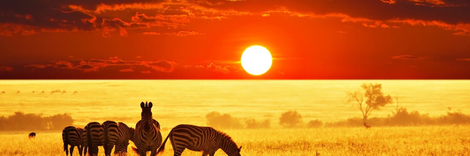kirin0068's profile banner image