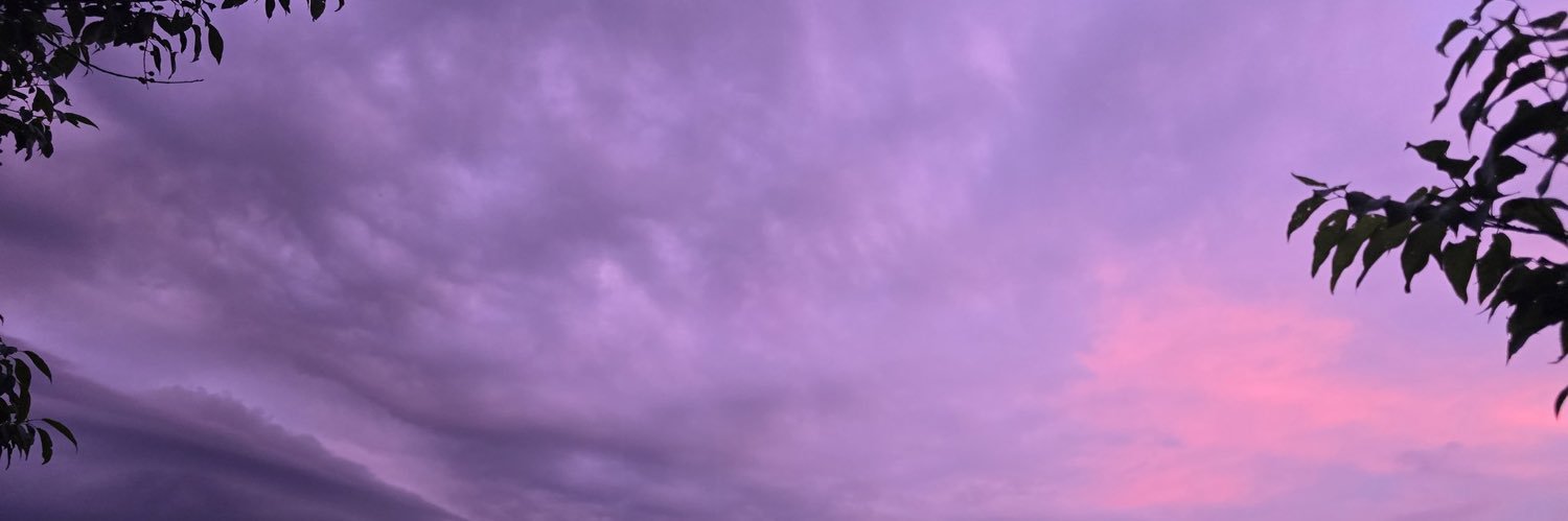 tboy_mutt's profile banner image