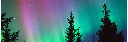 Lokisdottir banner