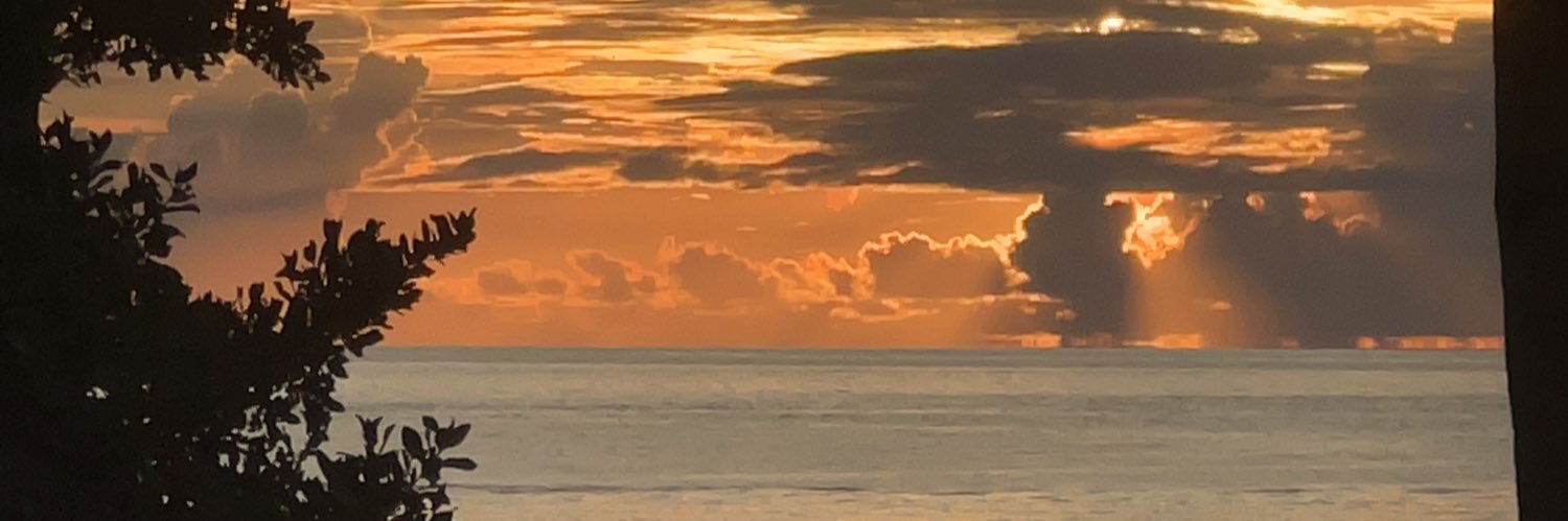 william depaolo banner