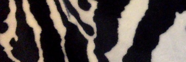 TRIILLFRANCO banner