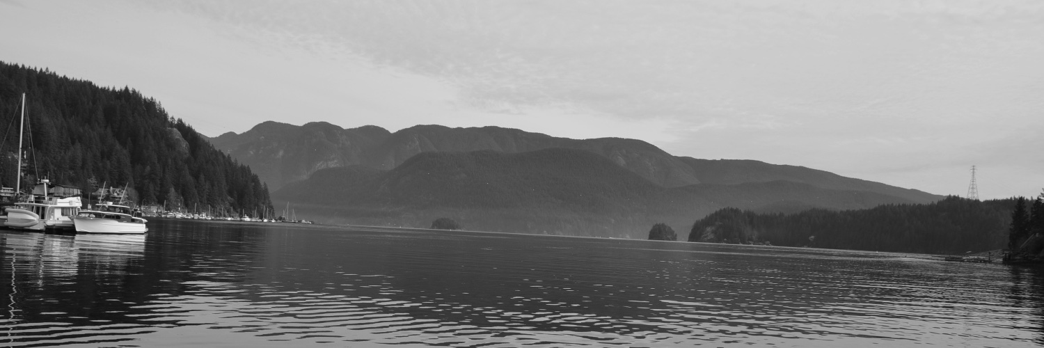 Carolina Celis-Laverde banner