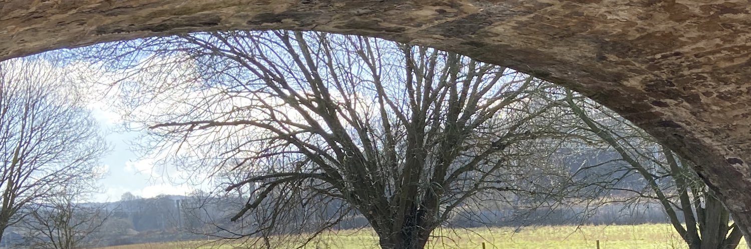 Vinesteiger's profile banner image