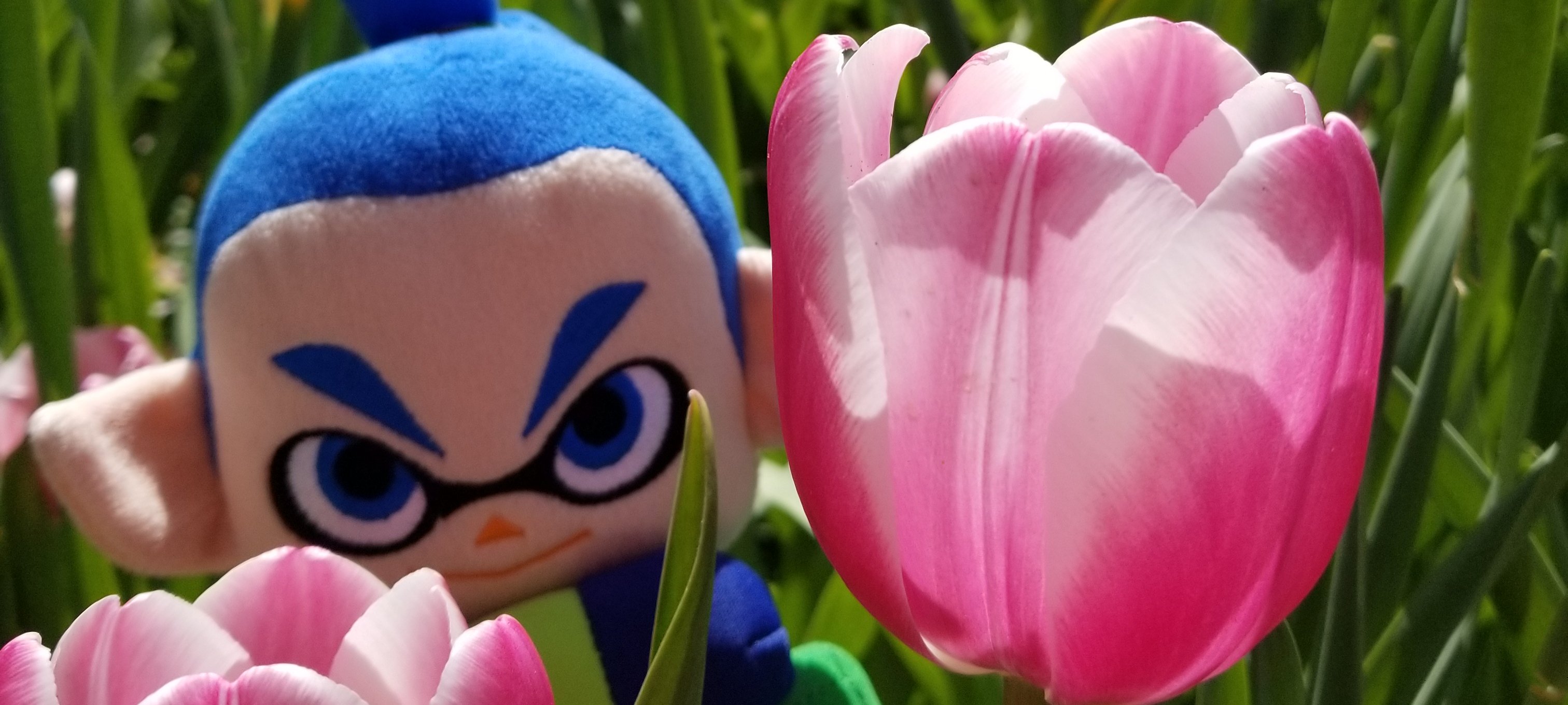 AL 🌱🌻🌺 banner