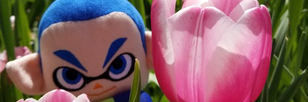 planthousepapa Profile Banner