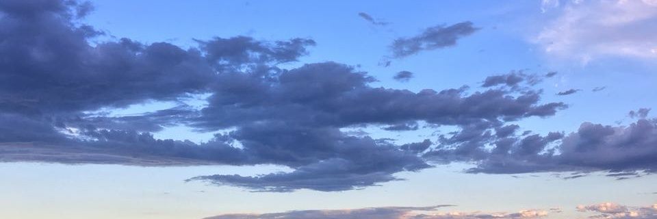 martubraschi's profile banner image