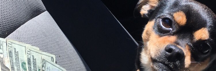 david_h64's profile banner image