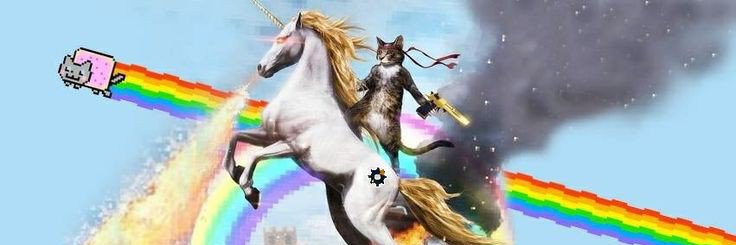 CaterineGR's profile banner image