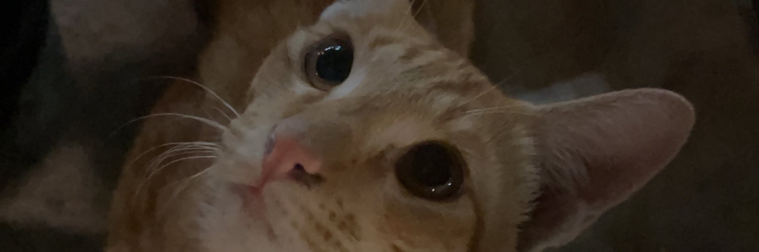 soulbilee's profile banner image