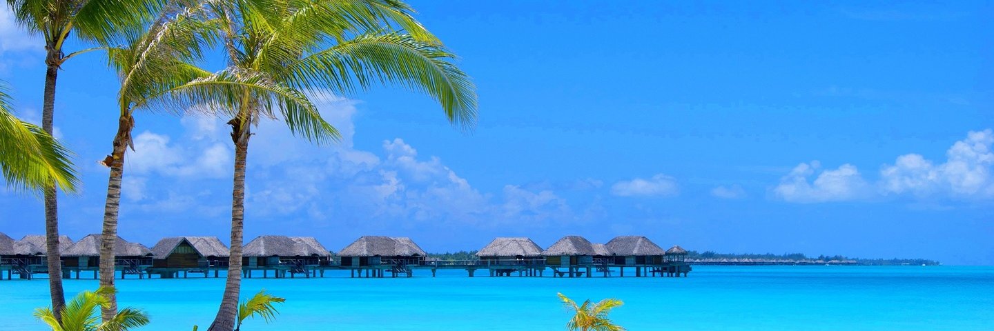 Theo Robinson banner