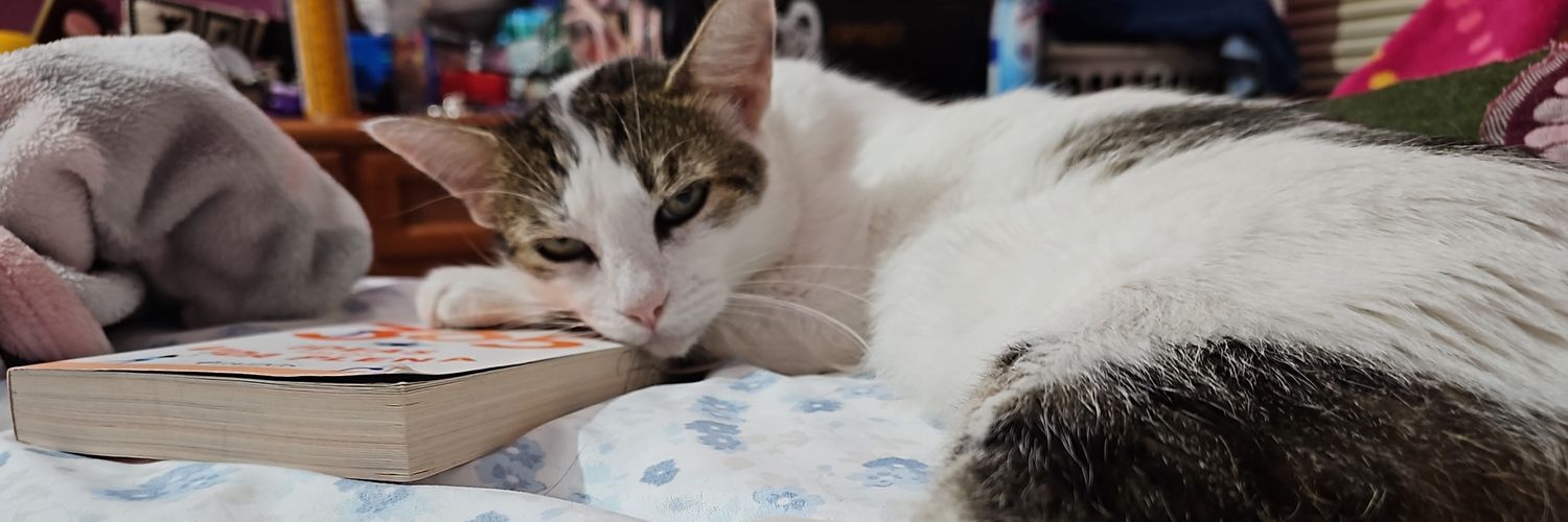 💫Chokka🇲🇽🐾🌹 banner