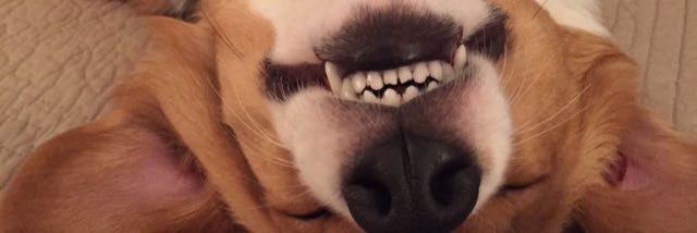 TyBoyles_'s profile banner image