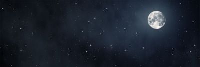 yyaannii's profile banner image