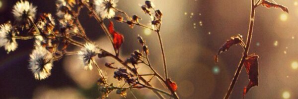 KmacRenee Profile Banner