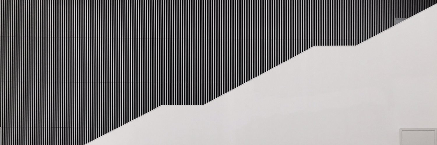 Renato Salles banner