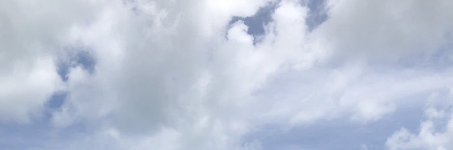 LippBrito's profile banner image