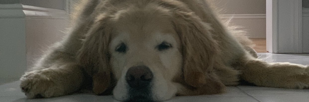 MissaMezz's profile banner image