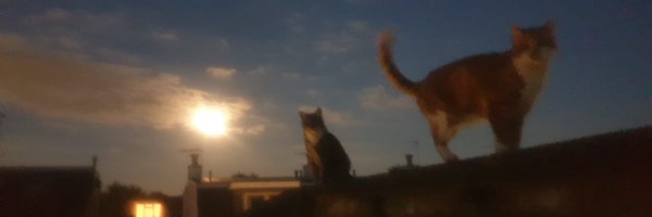 Kath1109 Profile Banner