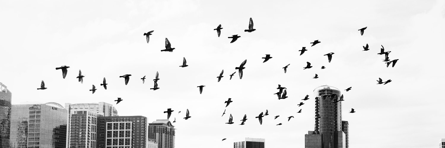 lukergz's profile banner image