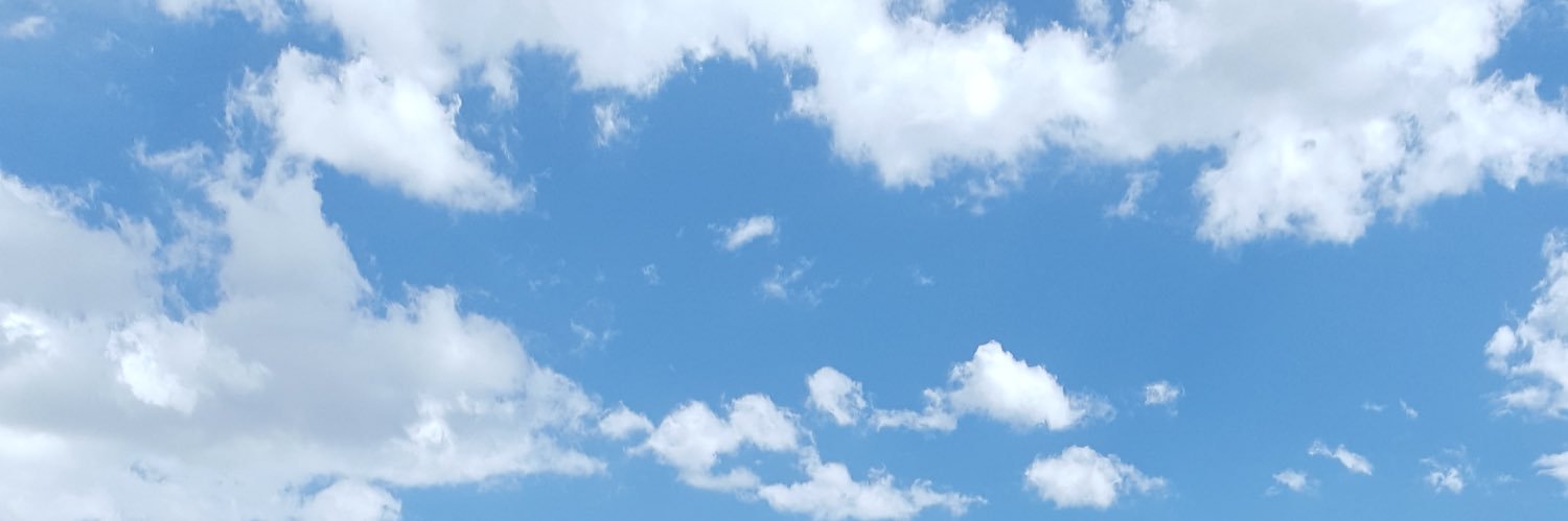 Joel banner