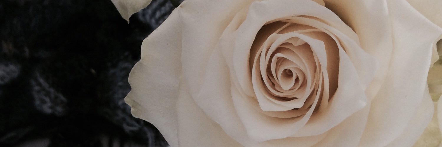 _kathrin_s's profile banner image