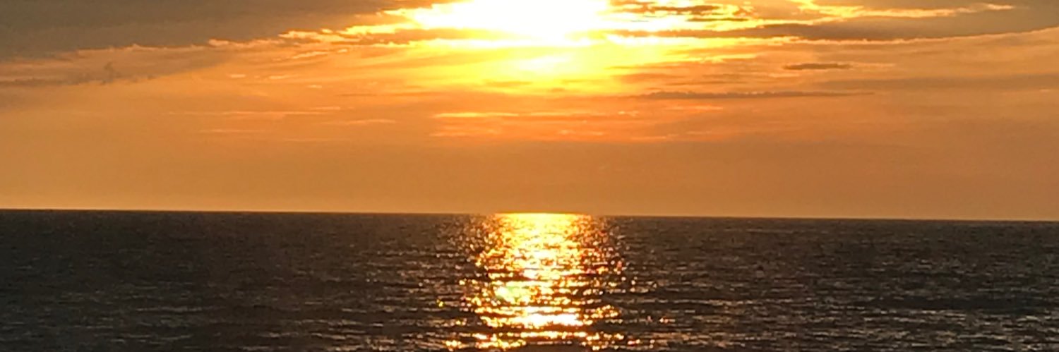 Sarah Weitzel banner