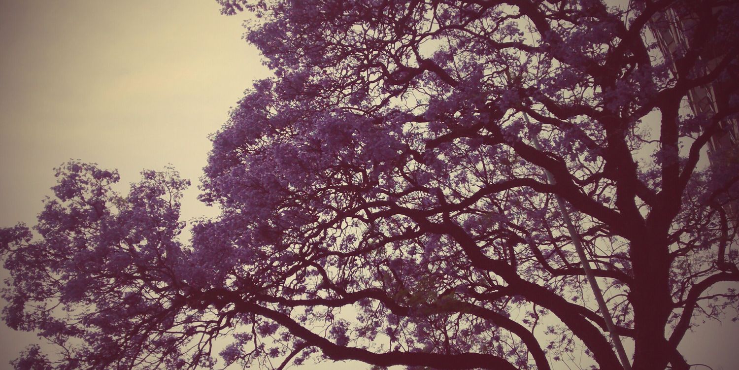 ClariFabiani's profile banner image