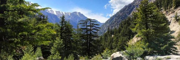 2white_jets Profile Banner