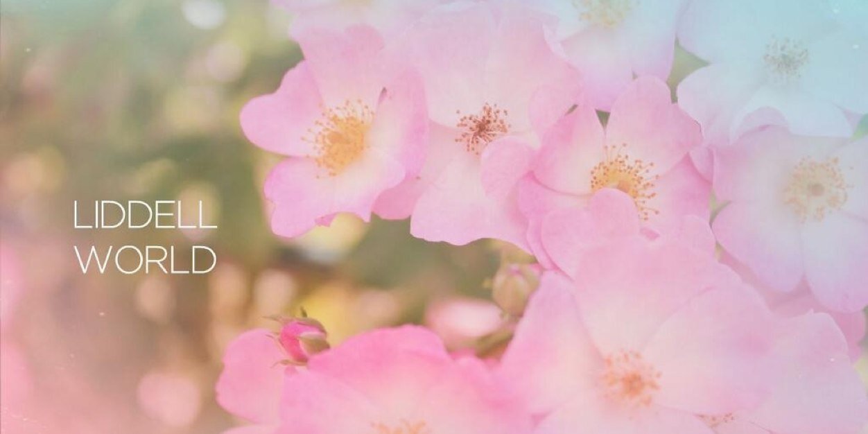 liddell_iris's profile banner image