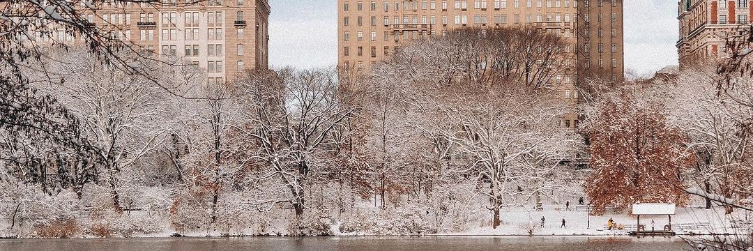 grazielanovaes_'s profile banner image