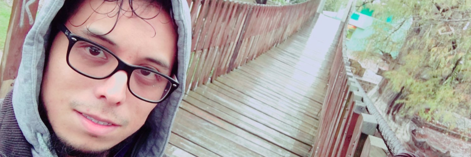 VicDavidLG's profile banner image