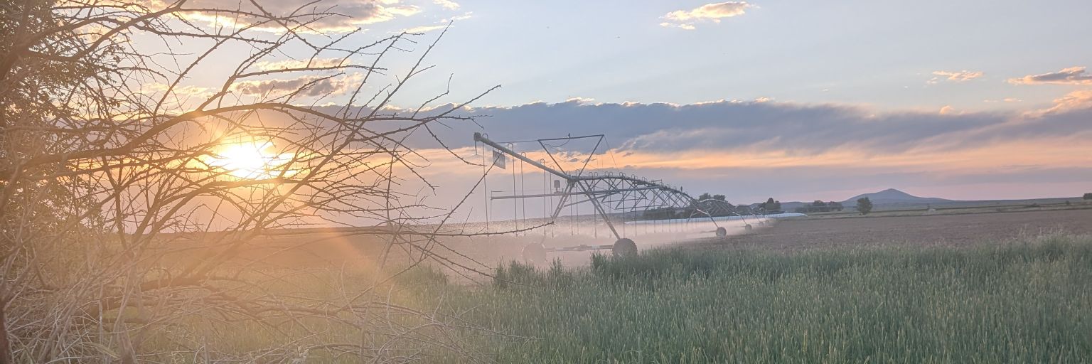 Michael Jessop🇲🇽🇺🇸 banner