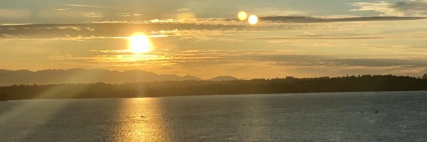 cdenisephd Profile Banner