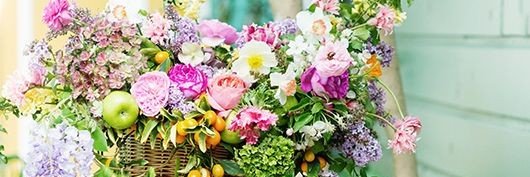Bahareh banner