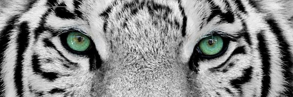 OffsideOff Profile Banner